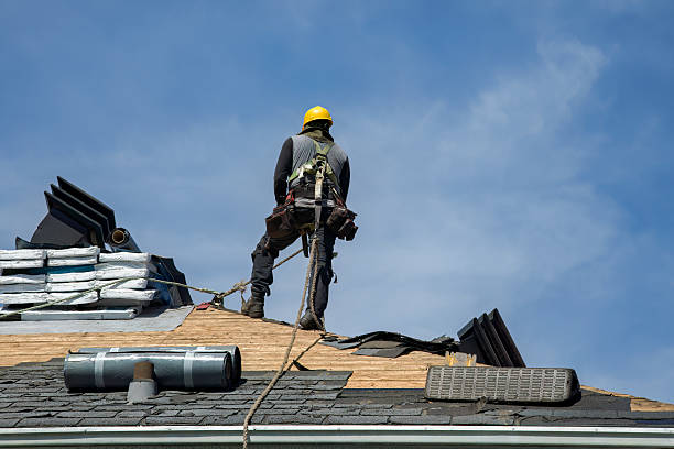 Professional Gutter Installation technician working in Grand Ridge, IL